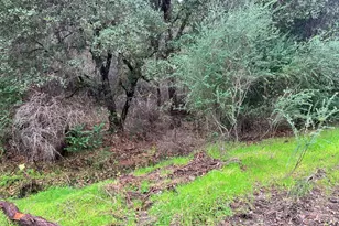 12215 Mountain View Dr, Clearlake Oaks, CA 95423 - Photo 1