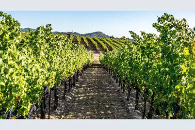 1095 Hardman Avenue, Napa, CA 94558 - Photo 12