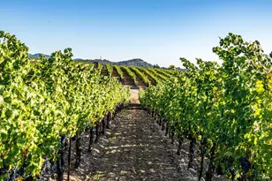 1095 Hardman Ave, Napa, CA 94558 - Photo 12