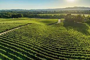 1095 Hardman Ave, Napa, CA 94558 - Photo 70