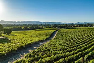 1095 Hardman Ave, Napa, CA 94558 - Photo 66