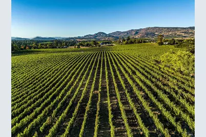 1095 Hardman Avenue, Napa, CA 94558 - Photo 6