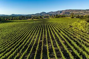 1095 Hardman Ave, Napa, CA 94558 - Photo 6