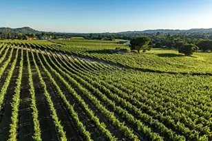 1095 Hardman Ave, Napa, CA 94558 - Photo 10