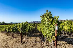 1095 Hardman Ave, Napa, CA 94558 - Photo 14