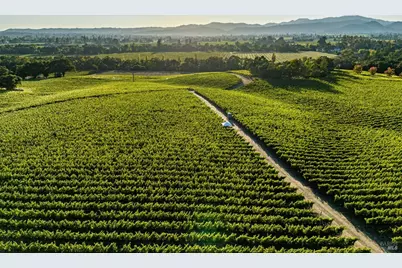 1095 Hardman Avenue, Napa, CA 94558 - Photo 68