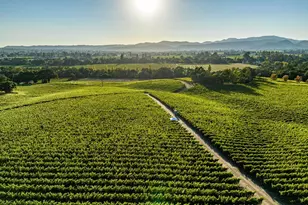 1095 Hardman Ave, Napa, CA 94558 - Photo 68