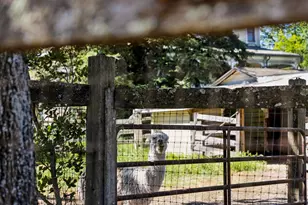 21730 Burndale Rd, Sonoma, CA 95476 - Photo 34