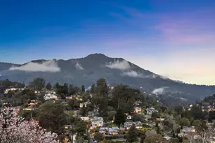 18 Laverne Ave, Mill Valley, CA 94941 - Photo 54