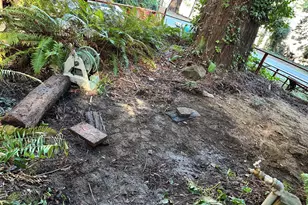 805 Cazadero Hwy, Cazadero, CA 95421 - Photo 20