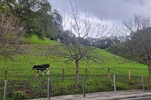 3183 Olympic Rd, Fairfield, CA 94534 - Photo 20