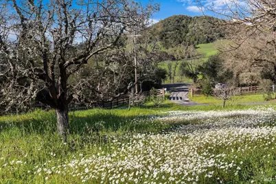 910 Lytton Springs Road, Healdsburg, CA 95448 - Photo 54