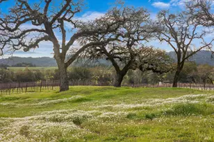 910 Lytton Springs Rd, Healdsburg, CA 95448 - Photo 28