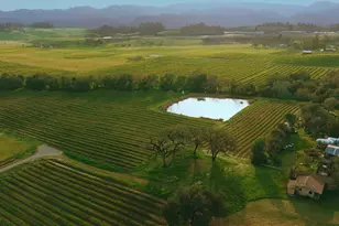 910 Lytton Springs Rd, Healdsburg, CA 95448 - Photo 50