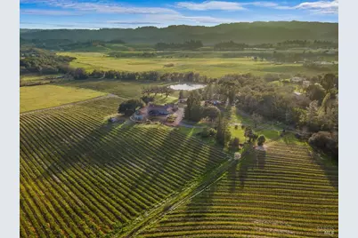 910 Lytton Springs Road, Healdsburg, CA 95448 - Photo 4