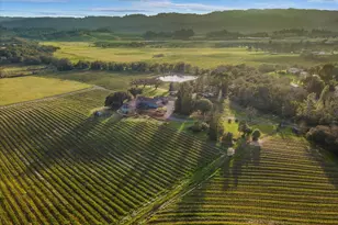 910 Lytton Springs Rd, Healdsburg, CA 95448 - Photo 4