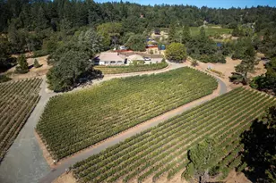 875 White Cottage Rd, Angwin, CA 94508 - Photo 56