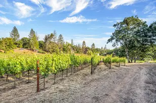 875 White Cottage Rd, Angwin, CA 94508 - Photo 28