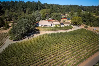 875 White Cottage Road, Angwin, CA 94508 - Photo 10