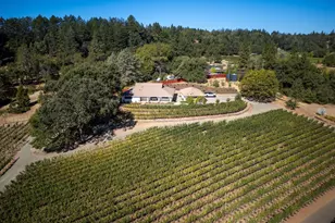 875 White Cottage Rd, Angwin, CA 94508 - Photo 10