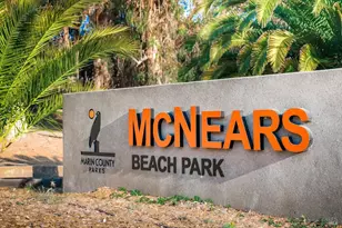 8 Partridge Dr, San Rafael, CA 94901 - Photo 44