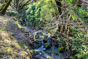 5510 Parducci Rd, Ukiah, CA 95482 - Photo 76