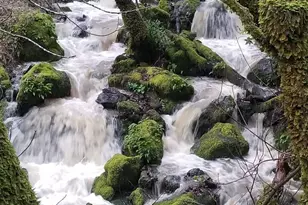 5510 Parducci Rd, Ukiah, CA 95482 - Photo 74