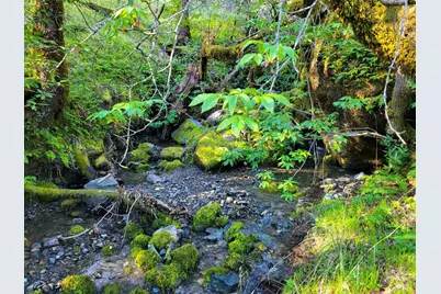 5510 Parducci Road, Ukiah, CA 95482 - Photo 78