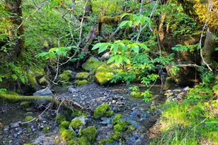 5510 Parducci Rd, Ukiah, CA 95482 - Photo 78