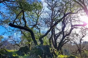 5510 Parducci Rd, Ukiah, CA 95482 - Photo 88