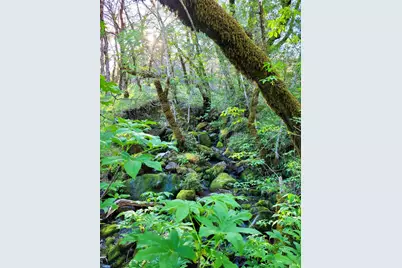 5510 Parducci Road, Ukiah, CA 95482 - Photo 80