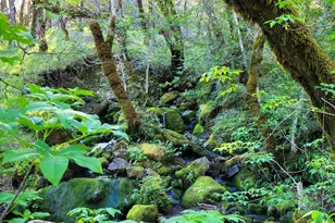 5510 Parducci Rd, Ukiah, CA 95482 - Photo 80