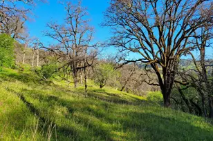 5510 Parducci Rd, Ukiah, CA 95482 - Photo 90