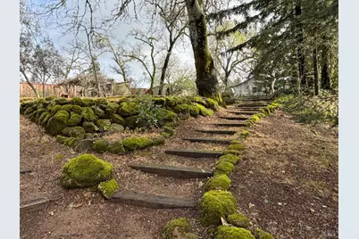 450 Sky Oaks Drive, Angwin, CA 94508 - Photo 4