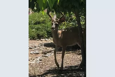 6749 Wintergreen Court, Santa Rosa, CA 95409 - Photo 24