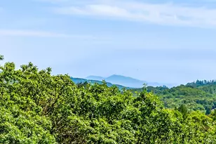 2865 Bristol Rd, Kenwood, CA 95452 - Photo 60