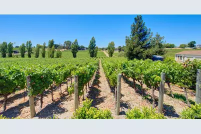 1597 Estee Avenue, Napa, CA 94558 - Photo 10