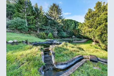 20 Redwood Avenue, Inverness, CA 94937 - Photo 8