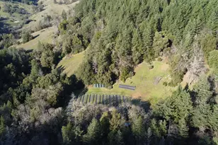 17001 Walker Lake Rd, Willits, CA 95490 - Photo 30