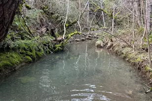 17001 Walker Lake Rd, Willits, CA 95490 - Photo 18