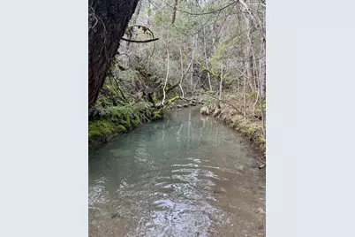 17001 Walker Lake Road, Willits, CA 95490 - Photo 12