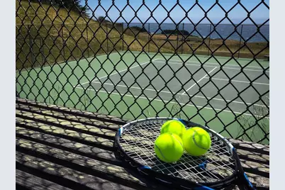 91 Wild Iris, The Sea Ranch, CA 95497 - Photo 24