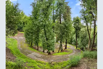 155 Forrest Avenue, Fairfax, CA 94930 - Photo 12