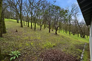 19474 Donkey Hill Rd, Hidden Valley Lake, CA 95467 - Photo 26