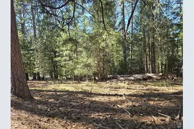 16303 Niblick Road, Cobb, CA 95426 - Photo 6