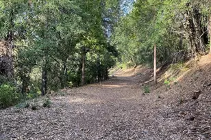 6360 Wilson Hill Rd, Shingletown, CA 96088 - Photo 78