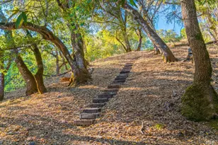 24000 Fig Tree Ln, Yorkville, CA 95494 - Photo 62