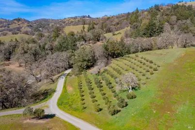 24000 Fig Tree Lane, Yorkville, CA 95494 - Photo 52