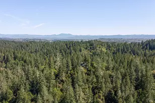 8930 Hwy 116, Forestville, CA 95436 - Photo 28
