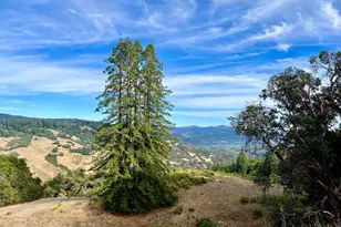 34201 Hwy 128 Hwy, Cloverdale, CA 95425 - Photo 4